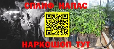 трава Кандалакша